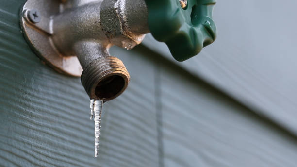 Best Plumbing Services Near Me  in Dover, FL